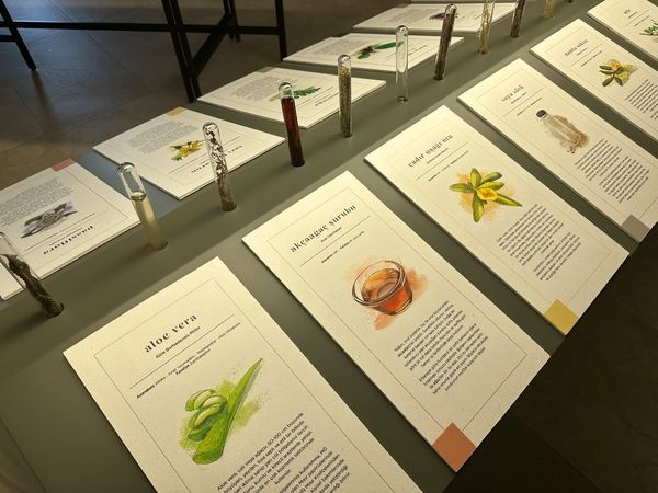 Rayiha Baharat Müzesi